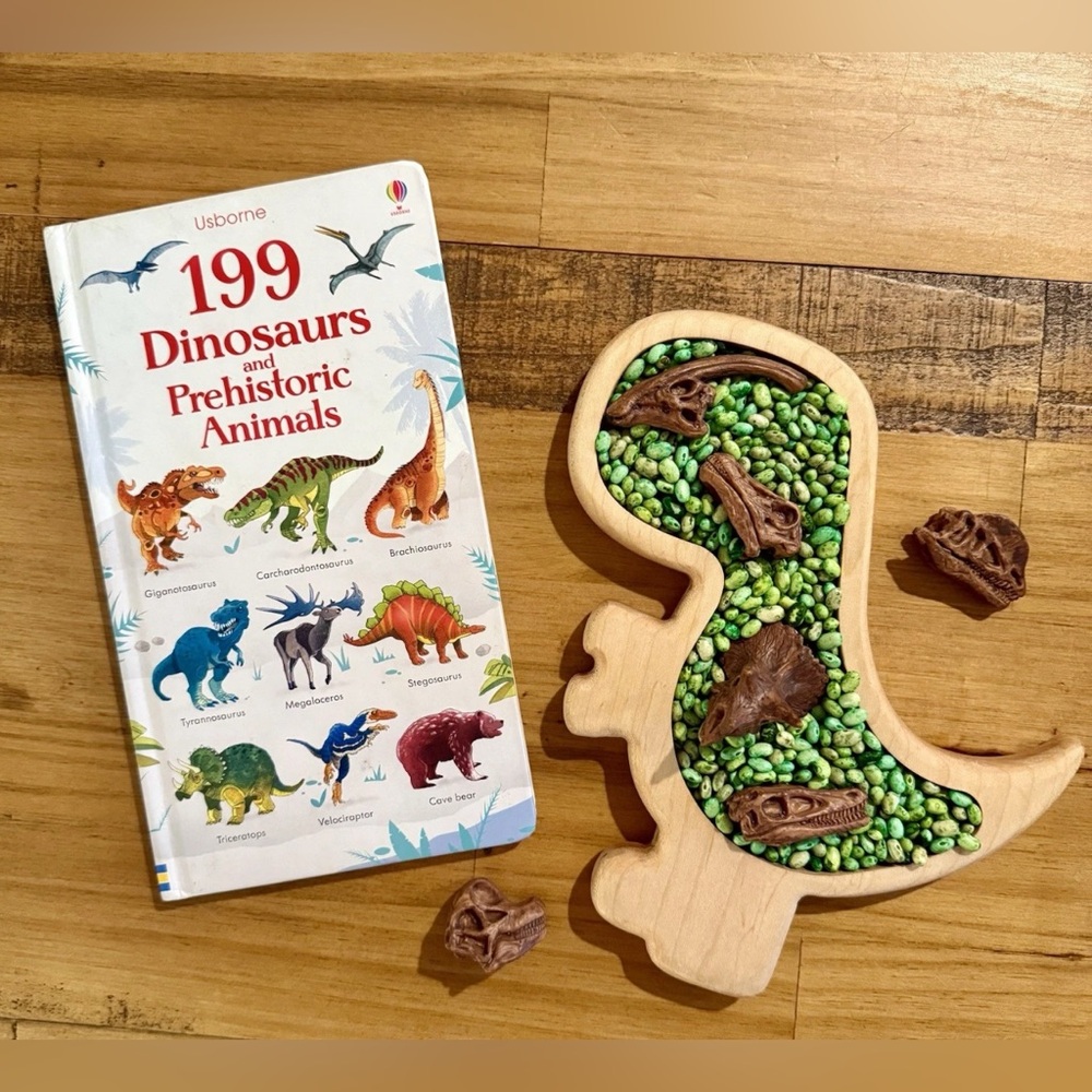 Wooden Dinosaur Tray Toy sensory kit  Bookish play Montessori kids